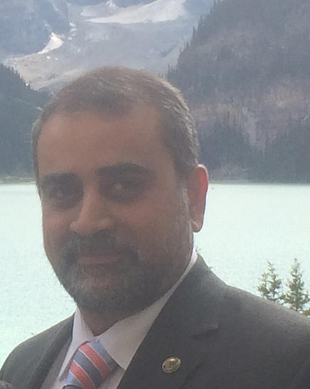 Dr. Hany El Naggar